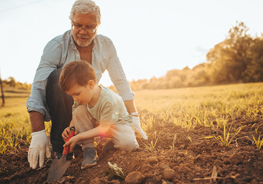 jardinage environnement